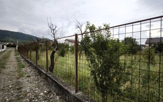 Teren intravilan 891 mp – zona Mărul de Aur - Poză 5