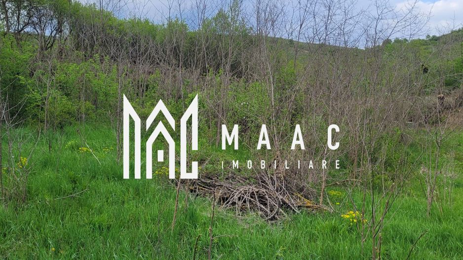 TEREN DE VÂNZARE I SLIMNIC I INTRAVILAN - Poză 2