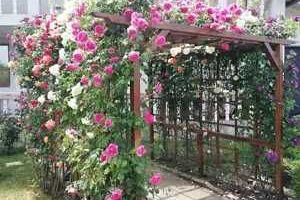 Apartament la parter, casa cu etaj, Mogosesti - Iasi, 10 km, 4 camere, 220 mp, 155.000 RON - Poză 2