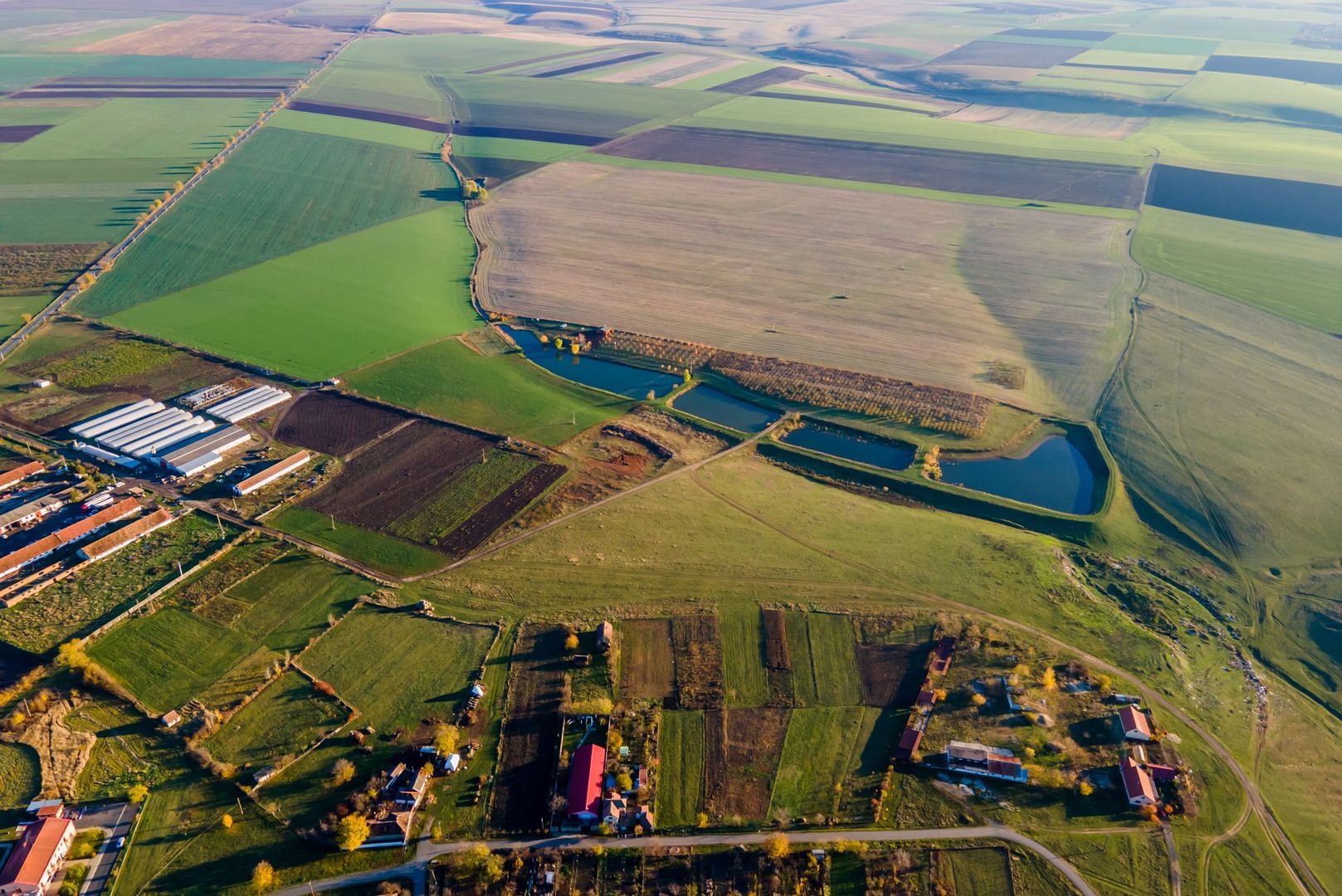 Teren agricol 130 ha Cruceni - Poză 3