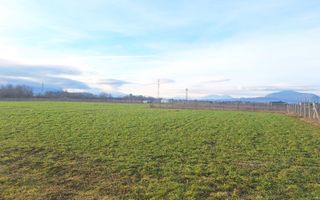 Teren intravilan in Halchiu, cu PUZ, COMISION 0 - Poză 2