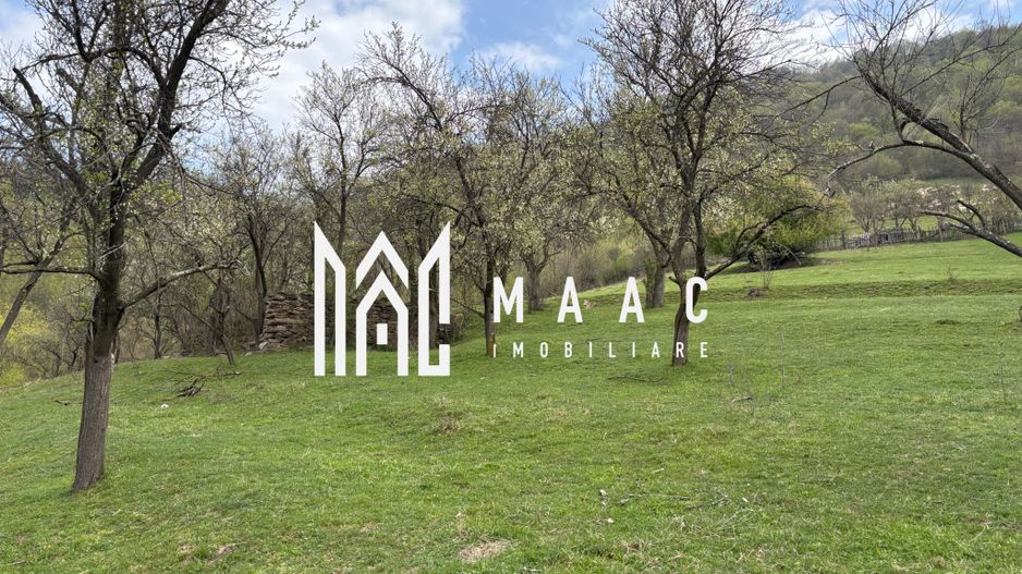 Teren de vânzare, 7750 mp I Orientare sudică I Caineni - Poză 7