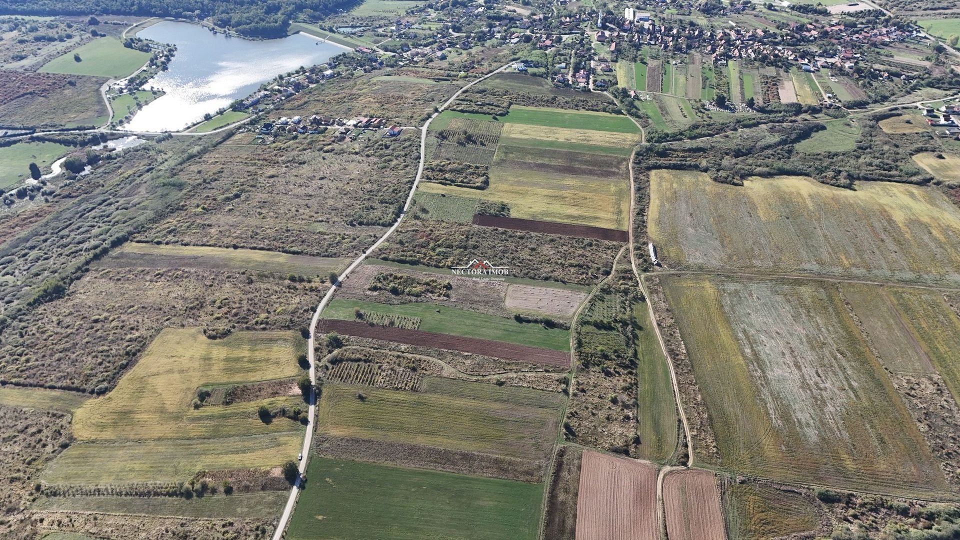 NECTORA IMOB-Teren Saldabagiu de Munte, aproape de Lac Paleu, 2880mp - Poză 9