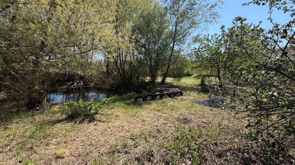 Lot Pomicol Truseni I.P. Alfa-Agro - Poză 4