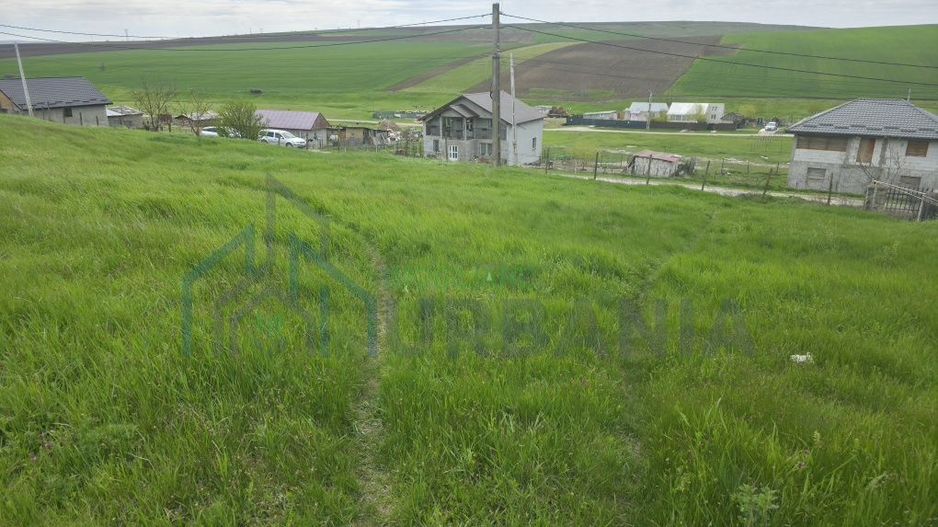 Teren de vânzare în Bogonos, Iași – 6.500 mp cu utilități - Poză 5