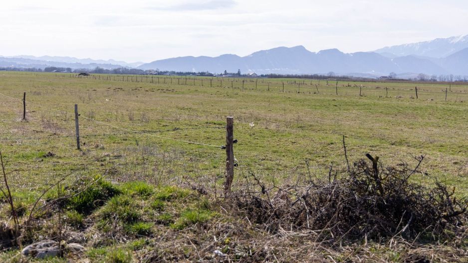 Teren 6500 mp | Intravilan | Rasnov zona Glajerie - Poză 10