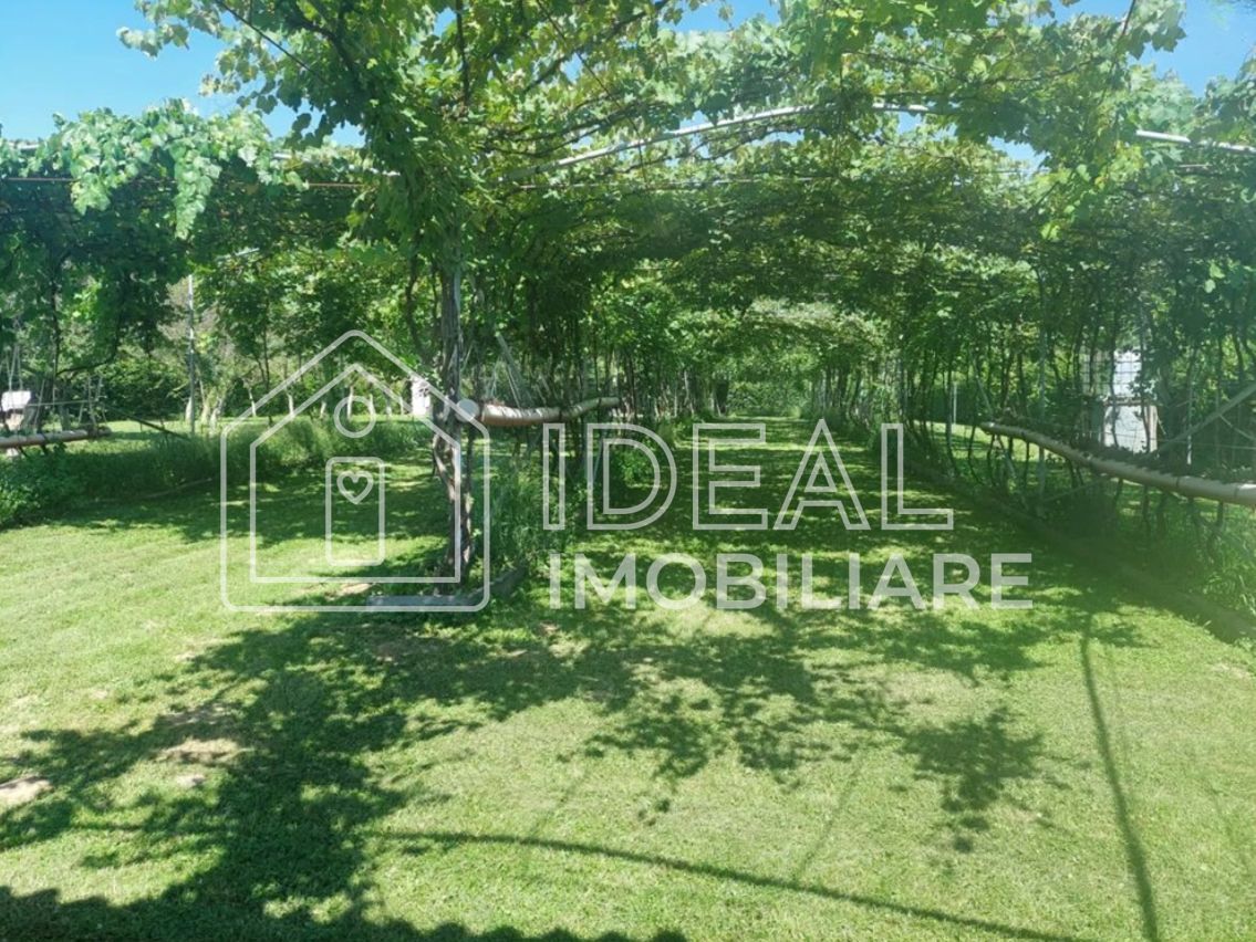 Teren intravilan 2.158 mp - Tropinii Noi, Sibiu | 2 parcele | Zonă Dumbrava - Poză 1