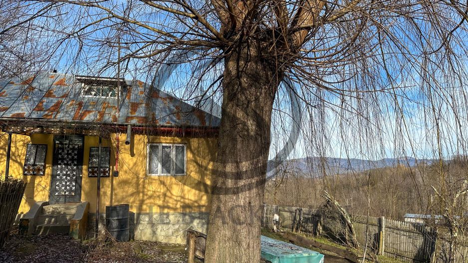 Casa de vanzare | Catunu, Drajna | 1360mp teren | Comision 0% - Poză 12