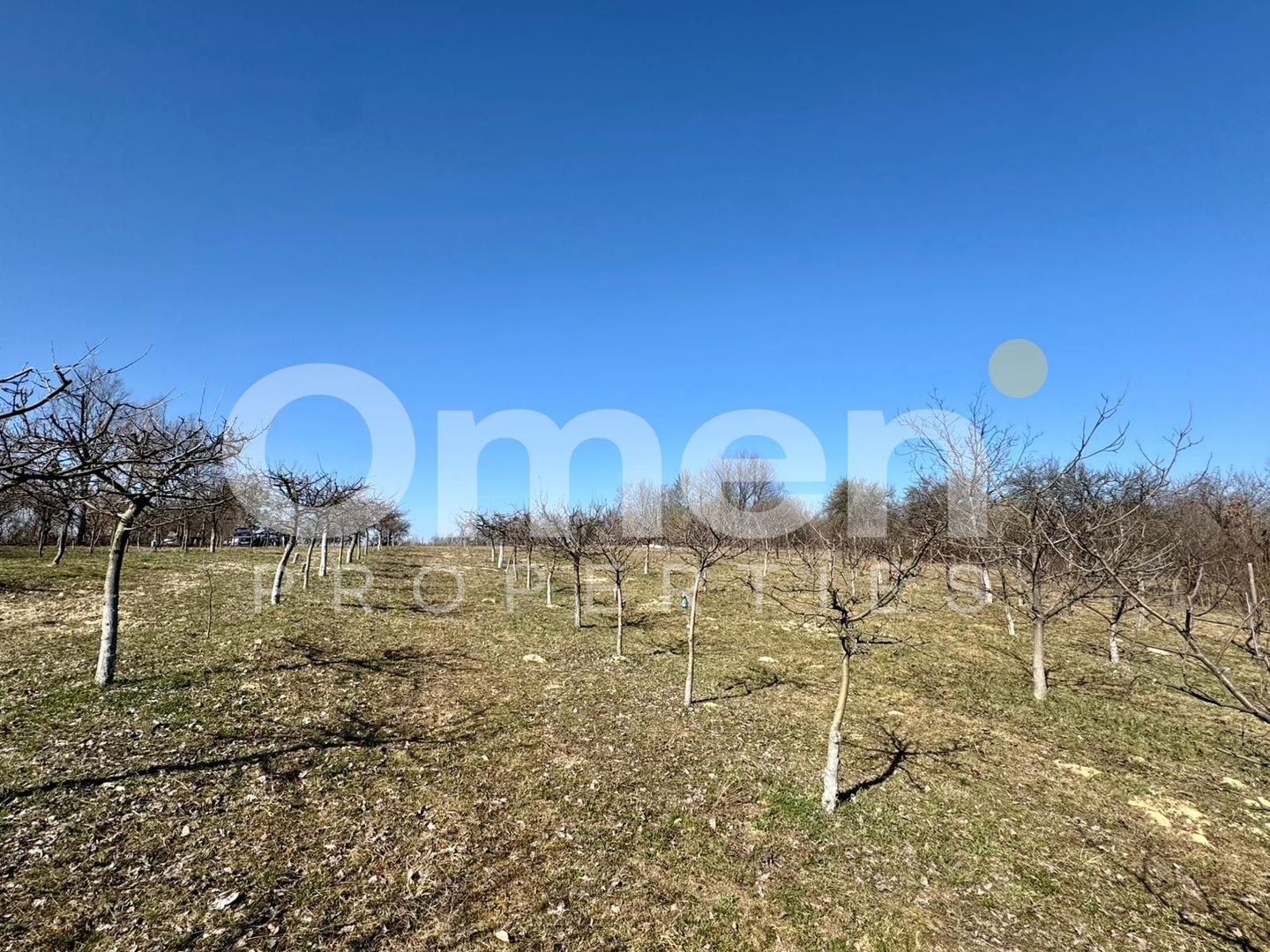 Teren intravilan | Berința | 5800 mp - Poză 2