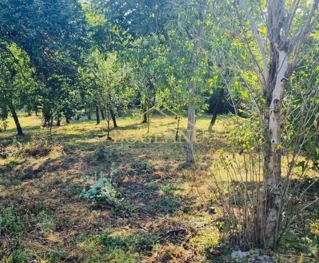 BG131-Teren: 2.822 mp pentru Proiect Imobiliar Premium COMISION 0% - Poză 4