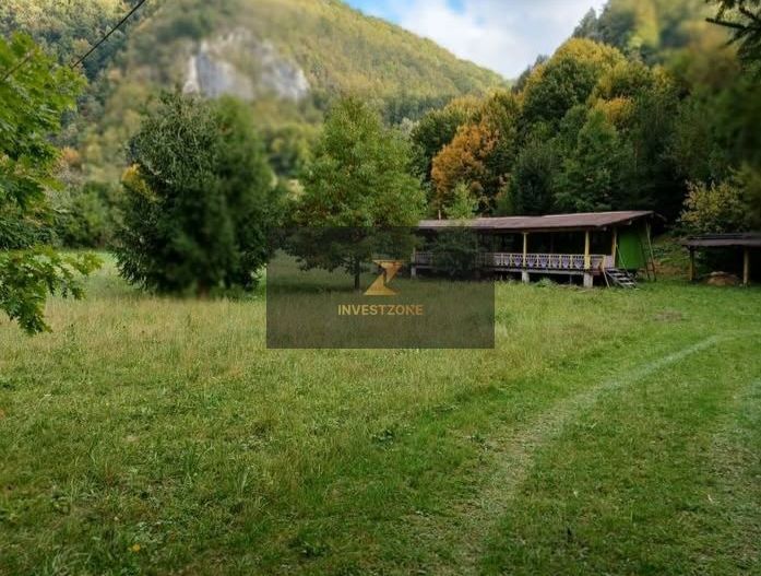 Teren de vis de vanzare in Remeti-Bihor-27p0 mp - Poză 5