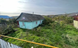 Teren pentru Constructii 32 Ari in Molesti - Poză 5