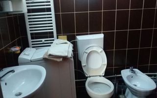 Cabana 4 camere-teren 350 mp-foisor amenajat 25 mp- Baile Figa - Poză 6