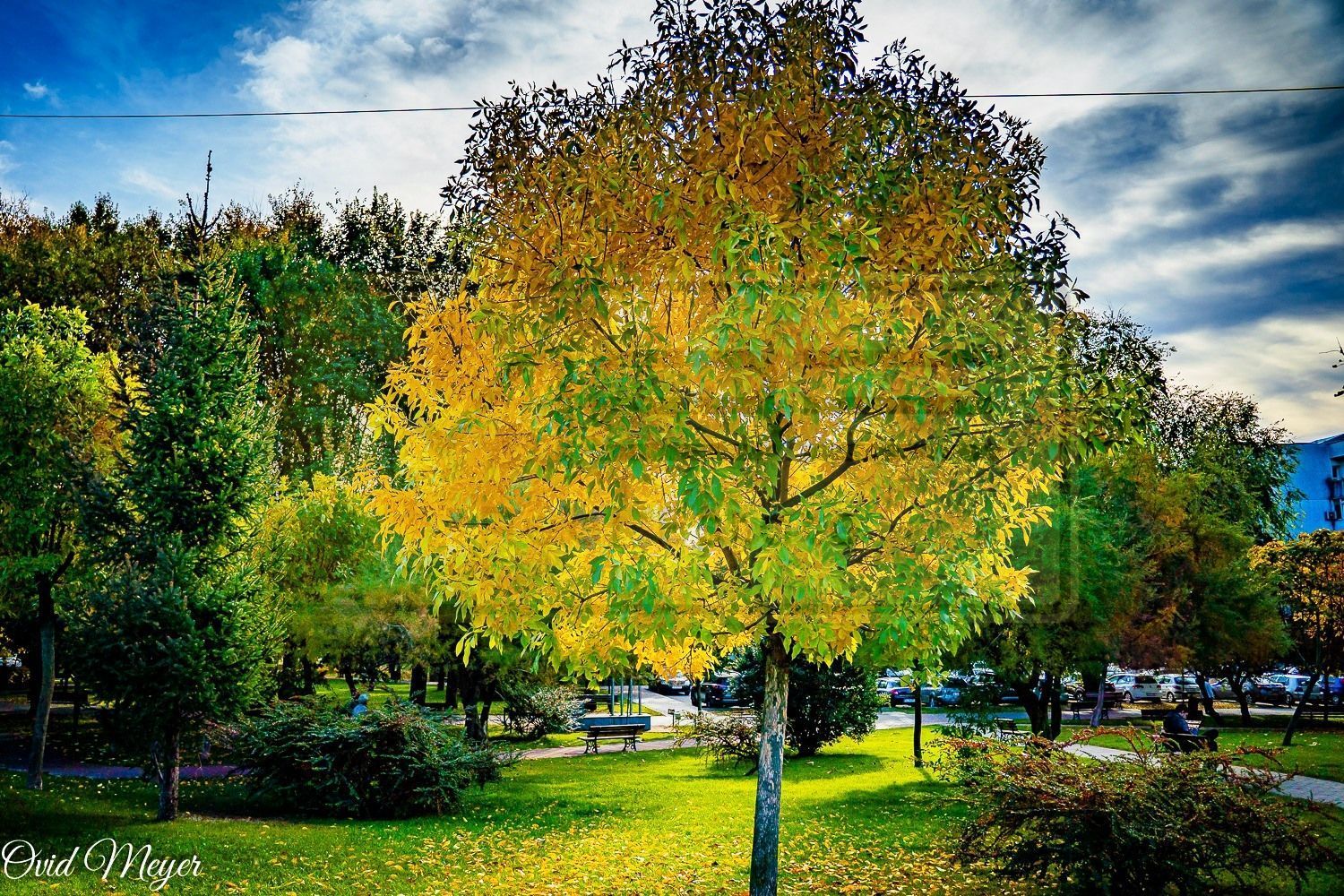 Apartament 2 camere decomandat zona Podul de Fier - Poză 24