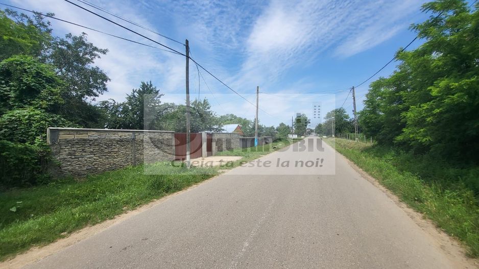 Casă individuala 4000mp teren com Alexandru Ioan Cuza sat Kogalniceni - Poză 1