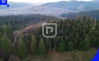 Teren situat in Frasin | BUCOVINA - Poză 2