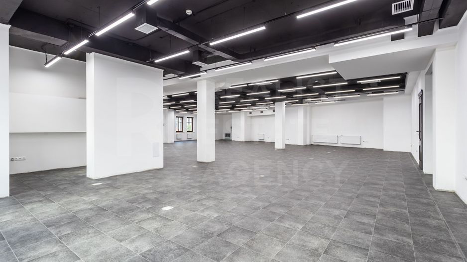 Chirie, spațiu de birouri, str. Bogdan Petriceicu Haşdeu, Rîșcani - Poză 14