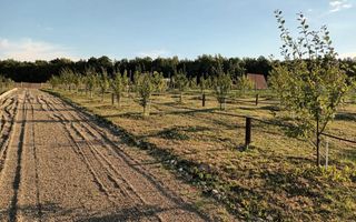 Teren intravilan 8300 mp la Agafton - Poză 1
