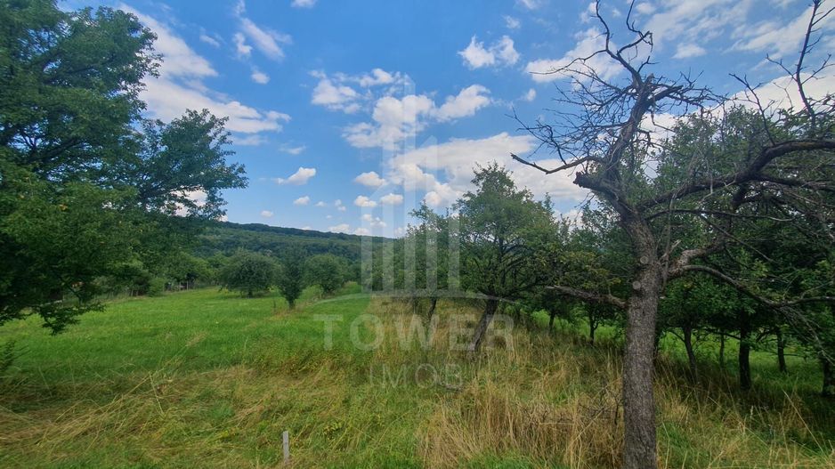 Teren de vanzare in Sibiel . - Poză 6