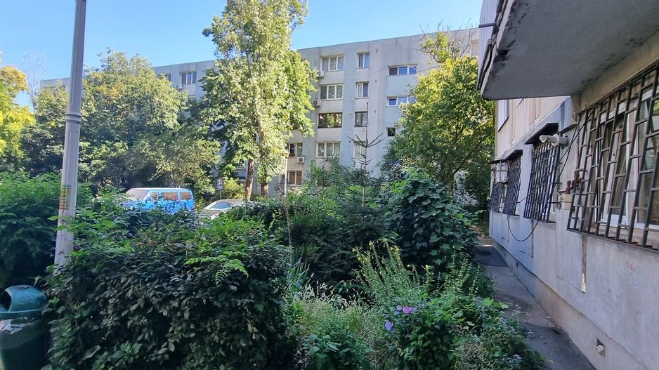 Timisoara Profii - Poză 2
