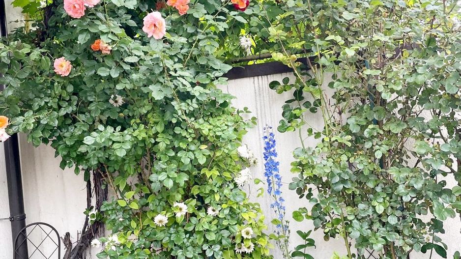 Bartolomeu, (zona strada Lungă), casa construcție 2009 - Poză 26