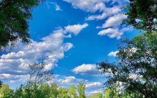 Teren pe malul Muresului- oportunitati multiple - Poză 13