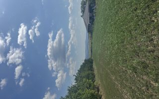 Teren intravilan Aroneanu - Poză 3