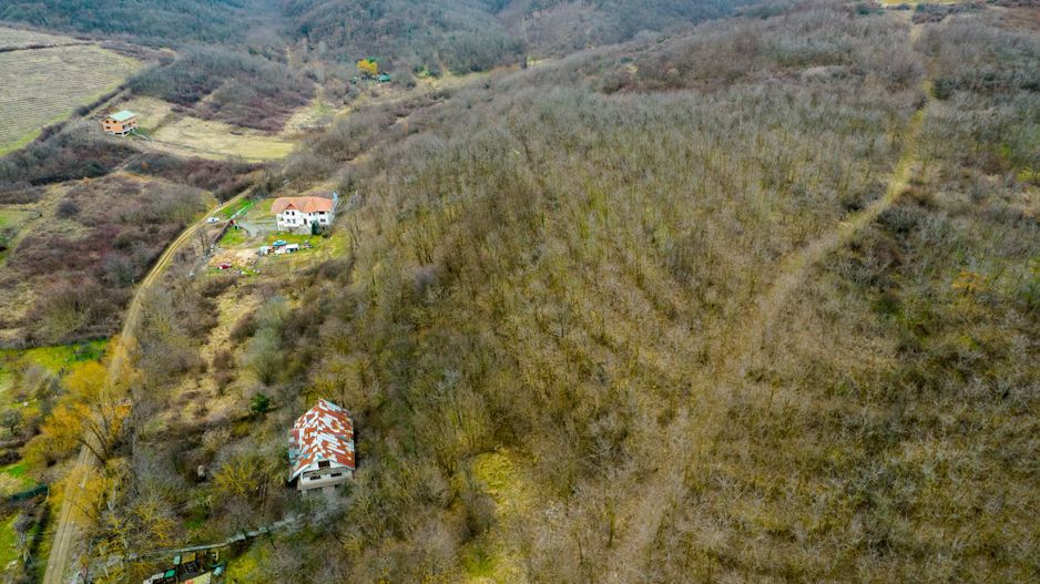 Teren intravilan Miniș - Poză 9