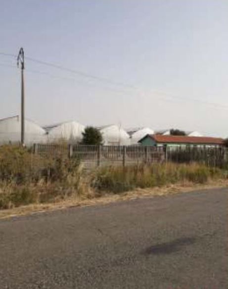 spatiu industrial Uivar Timis - Poză 6