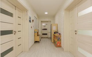 Vânzare casă, 3 camere, str. Prepeliței, Codru - Poză 7