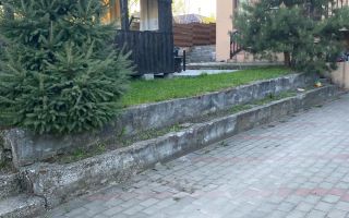 Casă 250 mp, teren 1.050 mp, Vulturi, la 8 km de Copou - Poză 2
