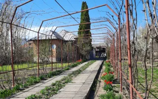 Casa de vanzare/Balcesti/Valcea/Str Pietii - Poză 16