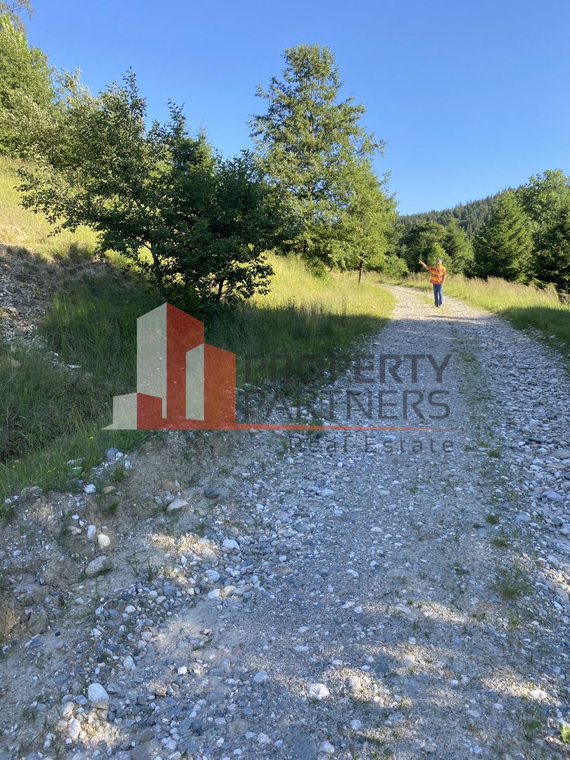 Teren 14400 mp la iesire din Rasnov inspre Pârâul Rece-Trei Brazi - Poză 5