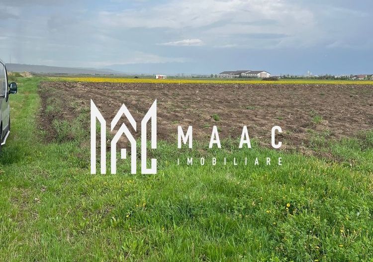 Teren de vanzare | 10.000 Mp | Sura Mica - Poză 2