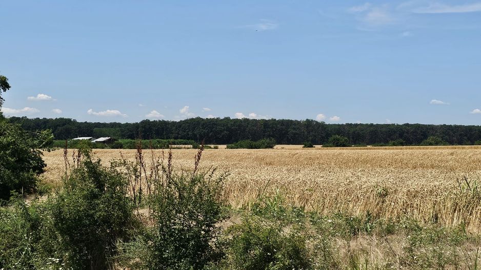 Vanzare Teren Intravilan Buftea, 750mp, str. Ulmului, Pista Biciclete - Poză 6