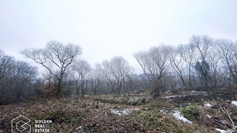 Teren 3.900 mp, Lipova – Șoimoș - Poză 1