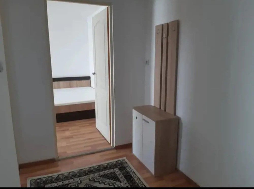 Apartament 1 camera zona Buziasului - Poză 7