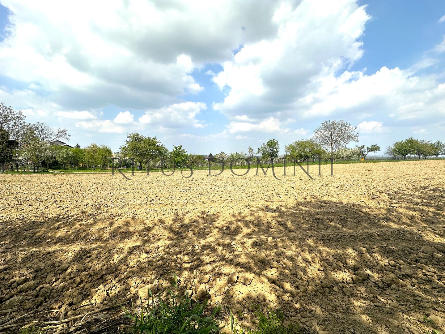 Teren Intravilan de Vânzare, Cetariu, 5450mp - Poză 4