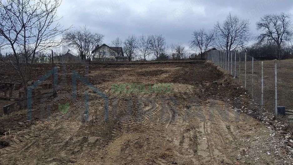 Teren intravilan Dorobanti - Poză 7