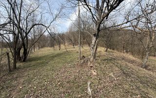 Teren 6040 mp la baza pădurii deschidere 40 ml - Poză 1