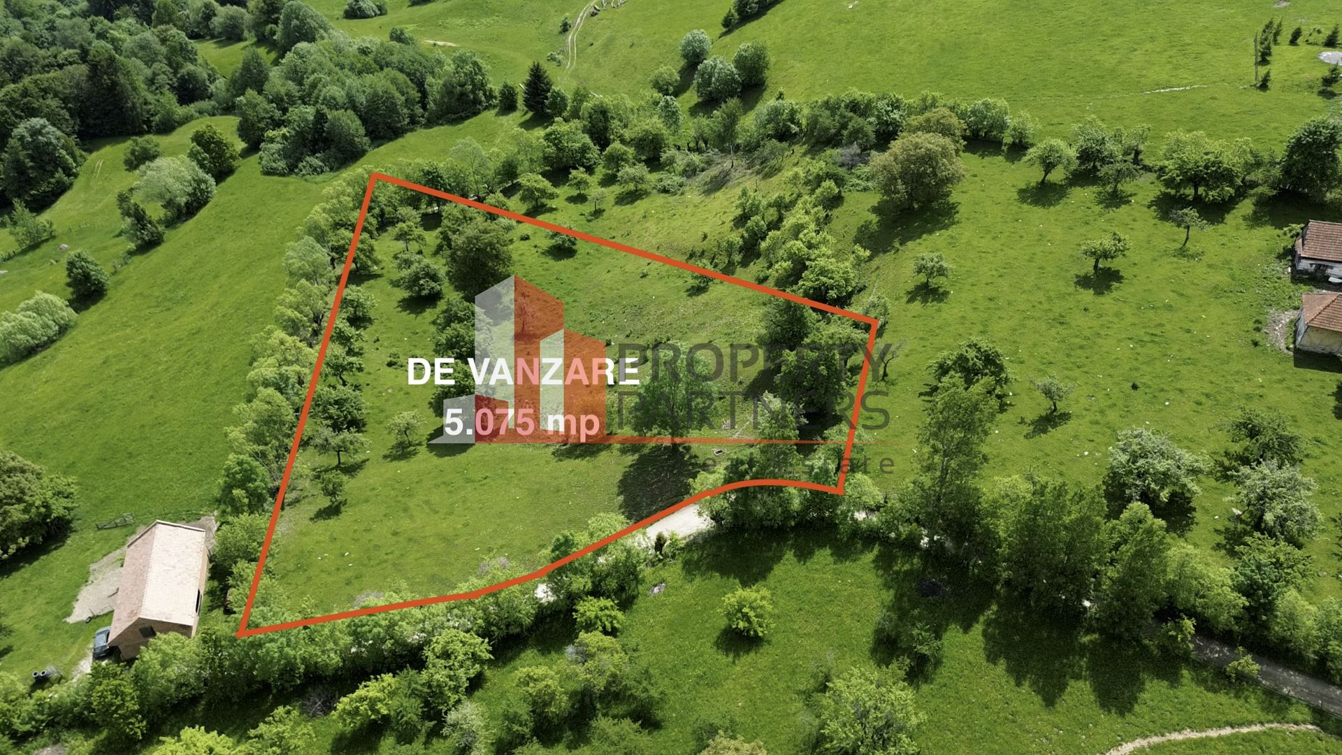 Teren Sohodol 5000 mp - Poză 1