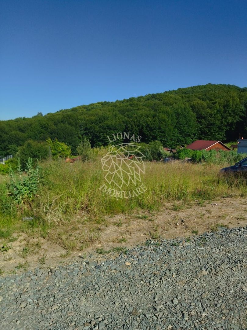 Teren 990 mp-ideal casa/casa de vacanta-panoramic-Zona Dealul Jelnei - Poză 2