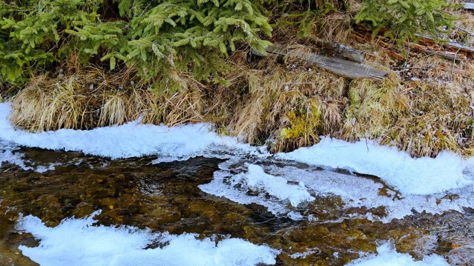 8.263 mp Teren cu Pârâu și Izvoare în Beliș-Fântânele, Cluj - Poză 9
