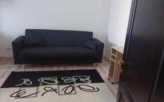 Apartament open-space, 28 mp, de inchiriat - Rond Pacurari, Iasi - Poză 2