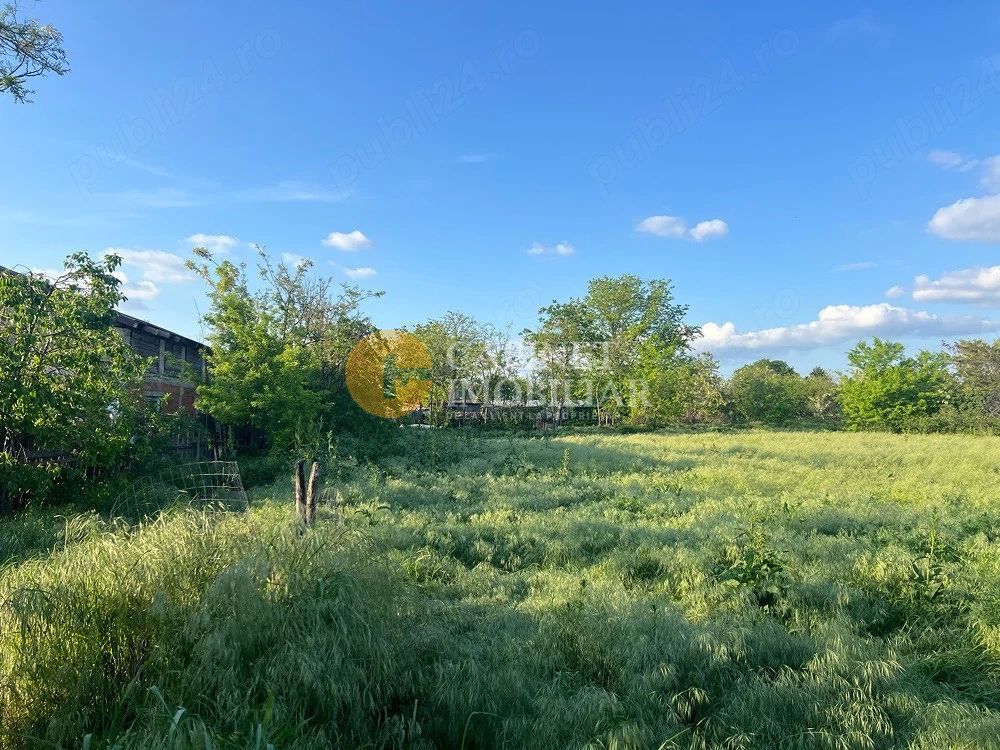 Proprietate generoasă: Casă cu 4 camere, anexe și teren de 3000 m²-Com. Țiganași - Poză 5