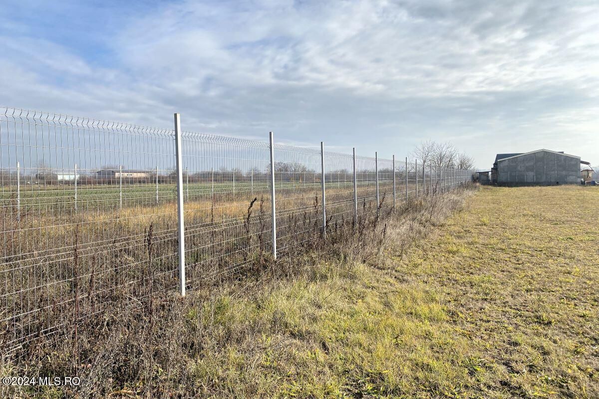 Afumati - Str. Iasomiei, 2409 MP, stradal, intravilan, deschidere 12 m - Poză 11