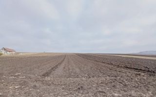 Teren Moara, Suceava I 77 ARI I Preț 2.500 euro/ar - Poză 3