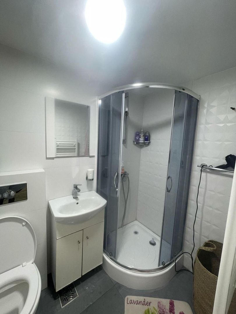 Vila de inchiariat in Herastrau \ Villas Rent in Herastrau area. - Poză 19