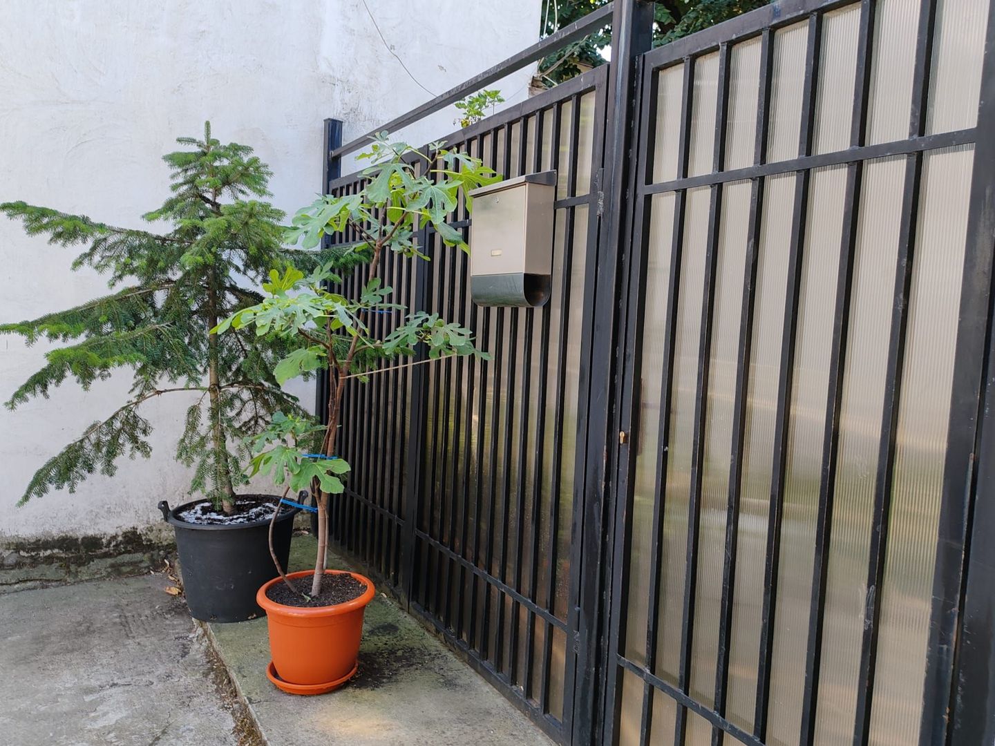 Vanzare apartament 3 camere + garsoniera Floreasca - Poză 10