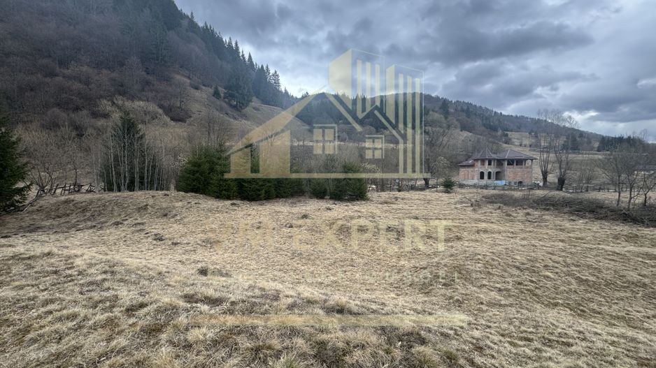 TEREN INTRAVILAN 500 MP SĂTIC- RUCĂR - Poză 12